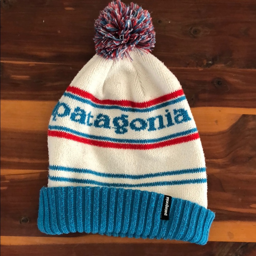 Patagonia winter hat